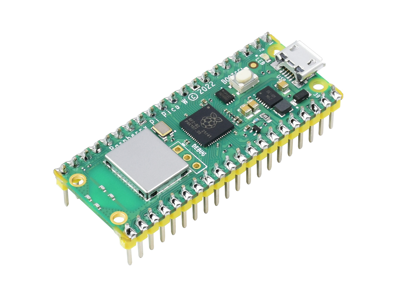 Raspberry Pi Pico W